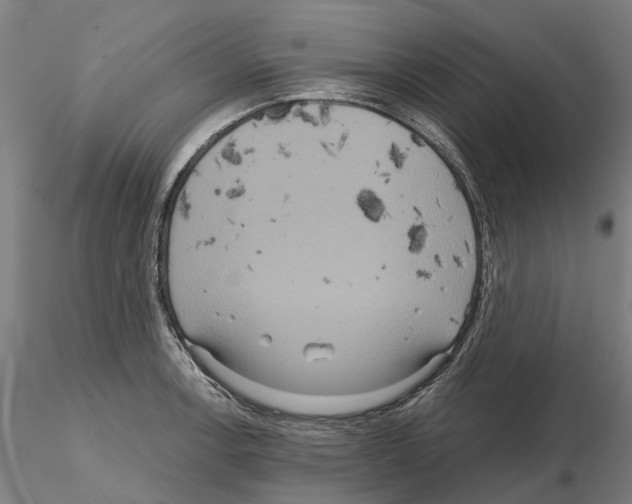 X0000114721138200912021148