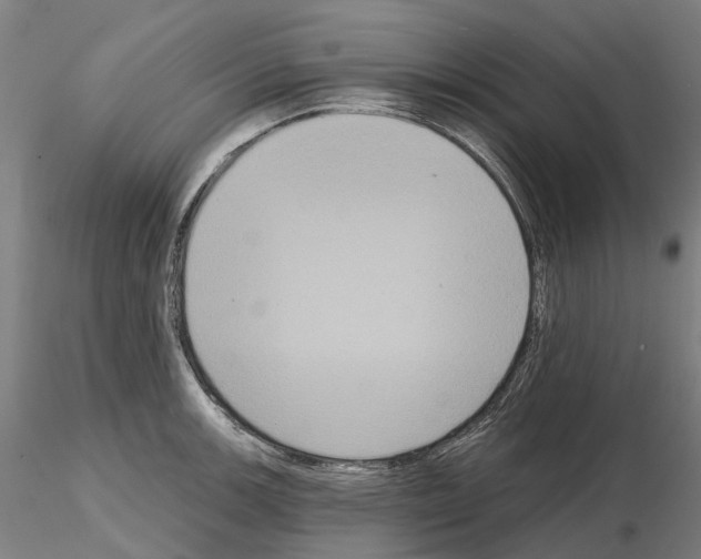 X0000114721139200912021148