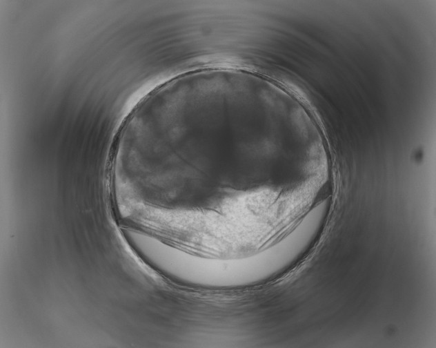 X0000114721141200912021148