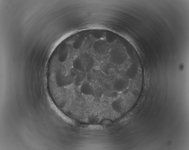 X0000114721142200912021148