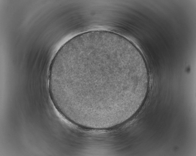 X0000114721143200912021148