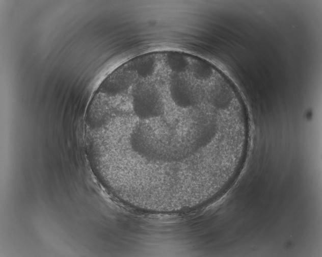 X0000114721145200912021148