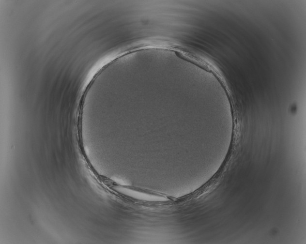 X0000114721146200912021148