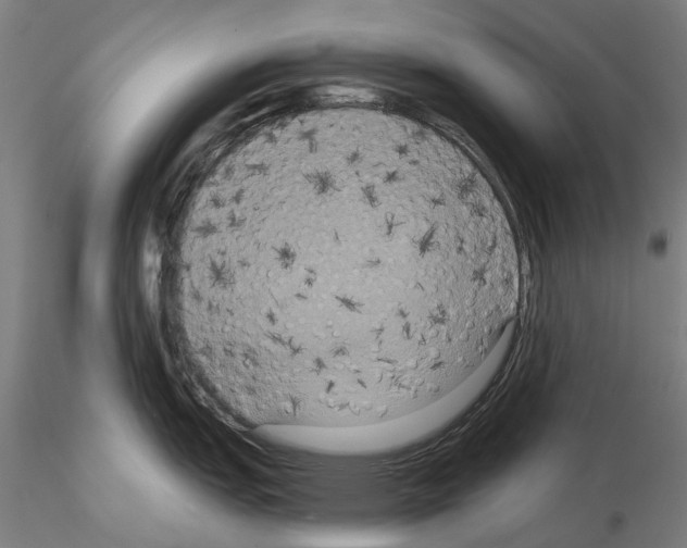 X0000114721151200912021148