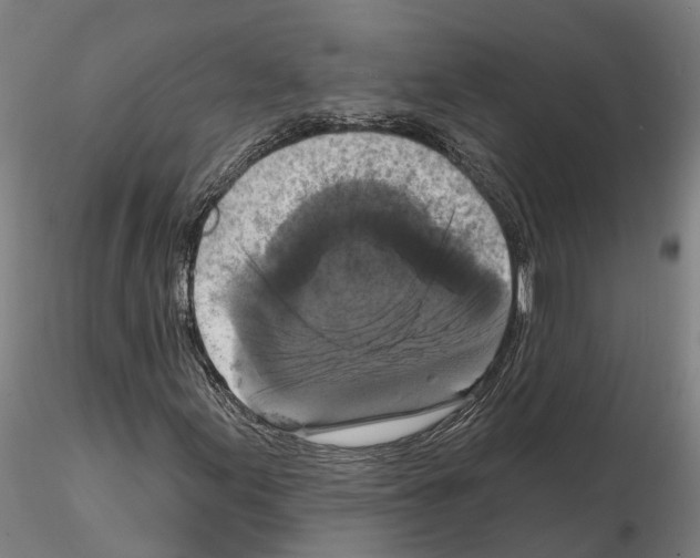 X0000114721155200912021147