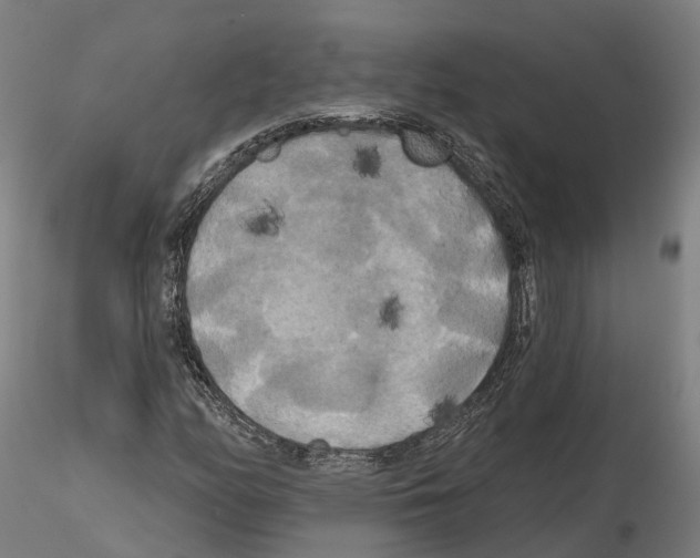 X0000114721158200912021147