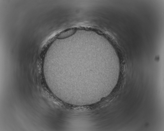 X0000114721159200912021147