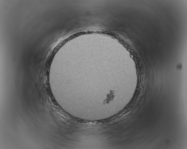 X0000114721160200912021147