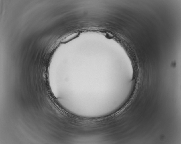 X0000114721161200912021147