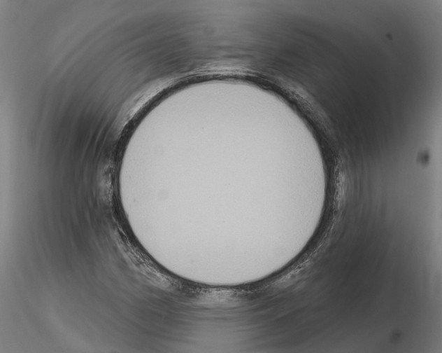 X0000114721162200912021147