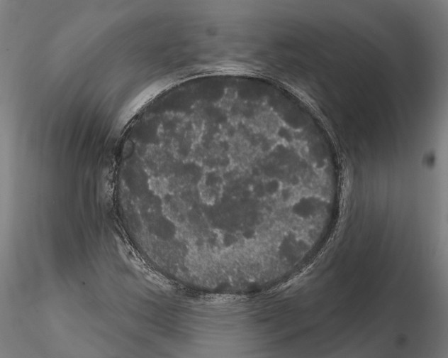 X0000114721163200912021147