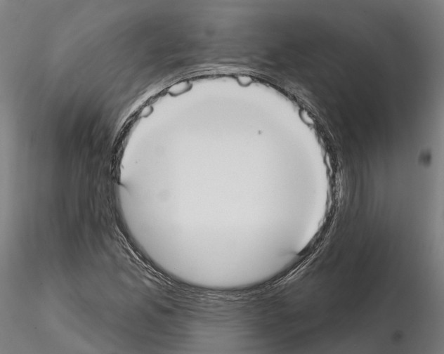 X0000114721165200912021147