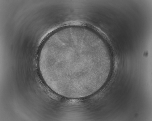 X0000114721166200912021147