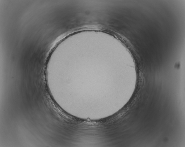 X0000114721168200912021147