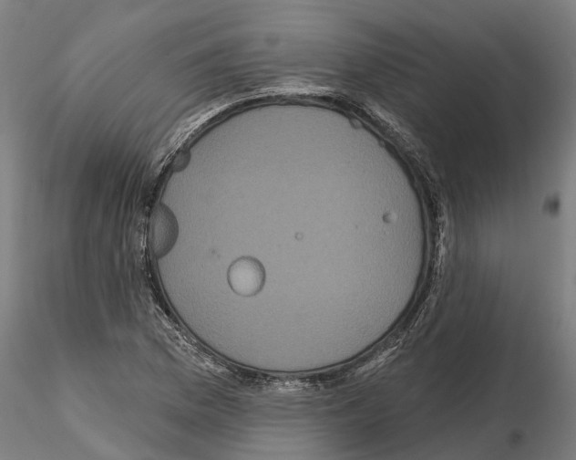 X0000114721169200912021147