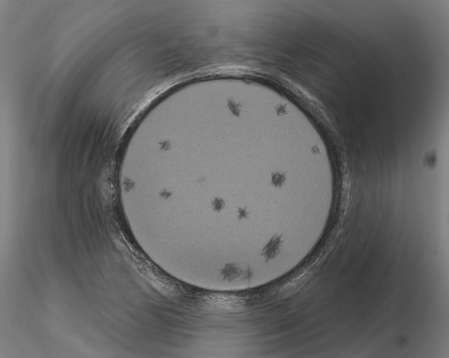 X0000114721170200912021147