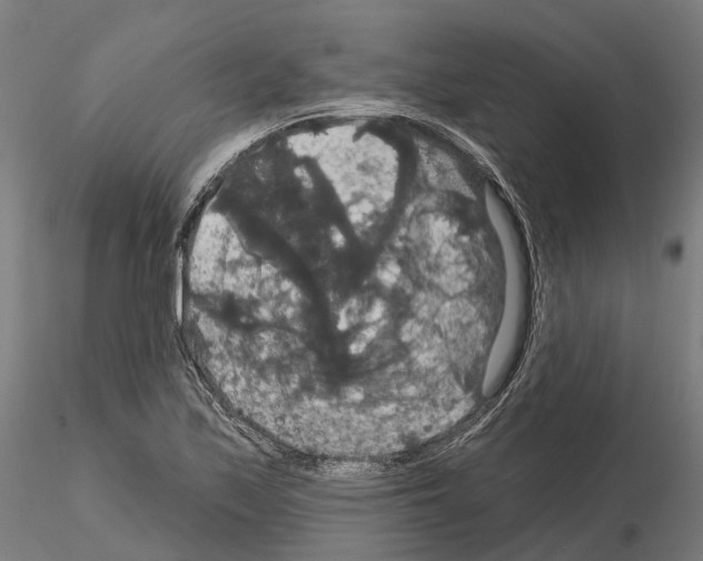 X0000114721171200912021147