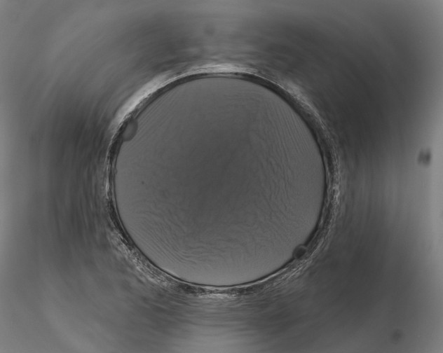 X0000114721173200912021147