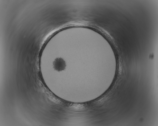 X0000114721174200912021147