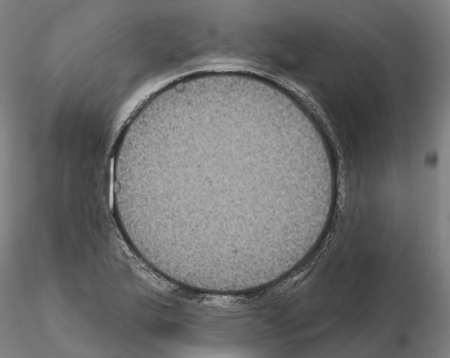 X0000114721175200912021147