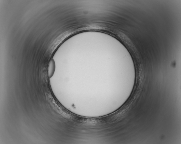 X0000114721177200912021147