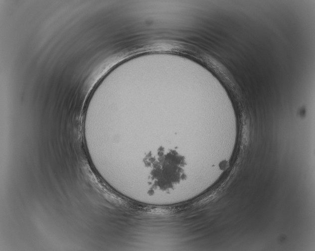 X0000114721178200912021147