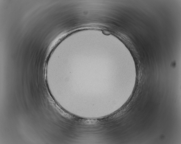 X0000114721180200912021147