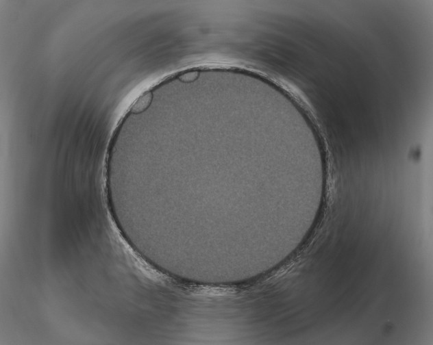 X0000114721183200912021147