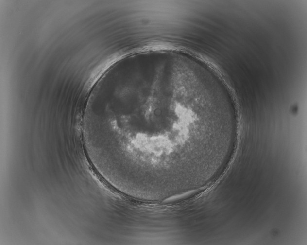 X0000114721185200912021147