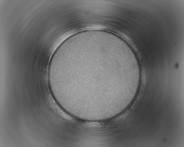 X0000114721186200912021147