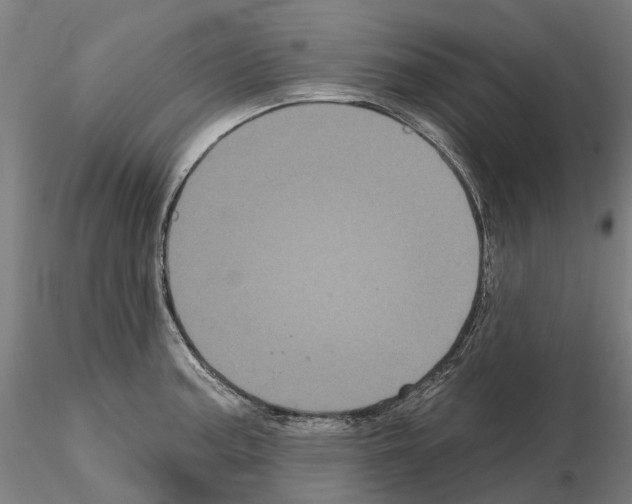 X0000114721187200912021147