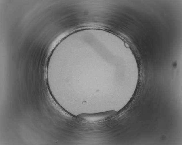 X0000114721188200912021147