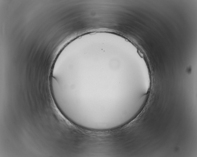 X0000114721189200912021147