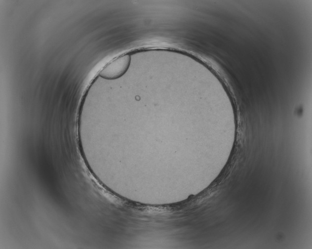 X0000114721191200912021147