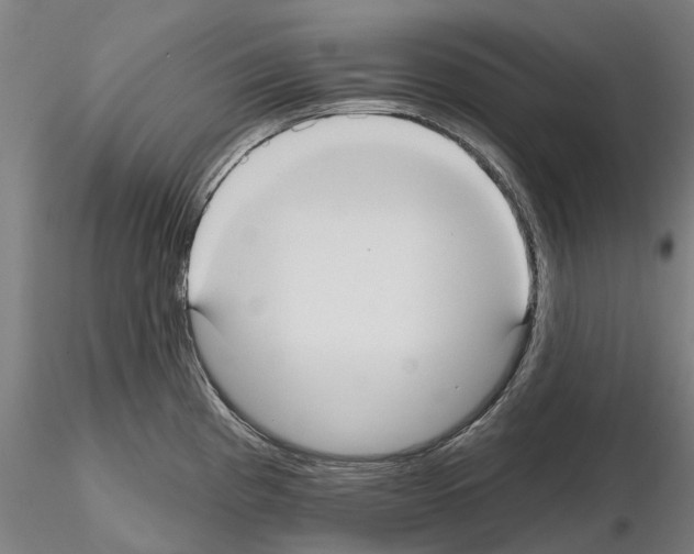 X0000114721193200912021147