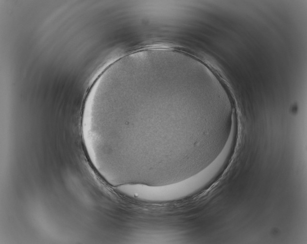 X0000114721194200912021147