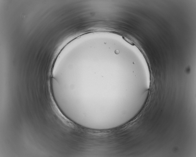 X0000114721195200912021147