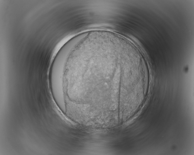 X0000114721196200912021147