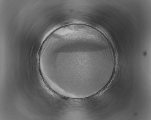 X0000114721198200912021147