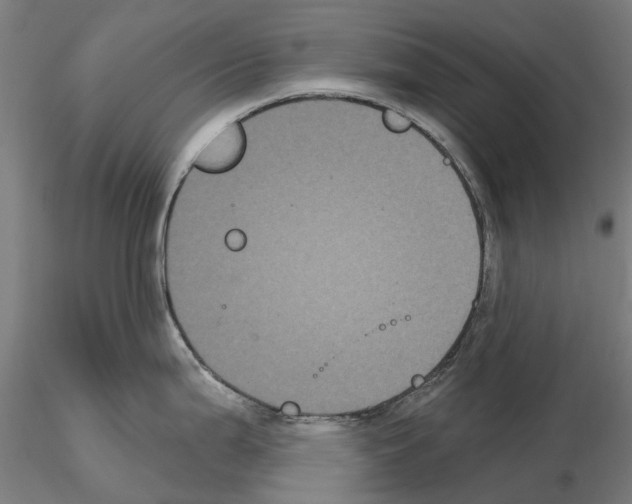 X0000114721199200912021147