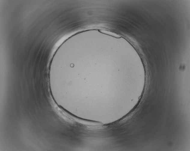 X0000114721200200912021147