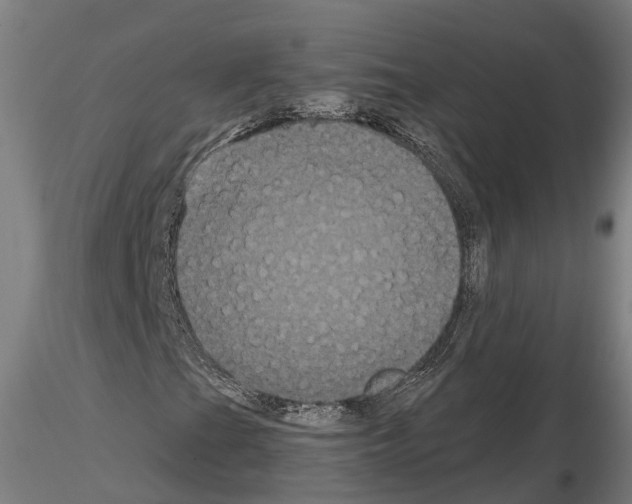 X0000114721201200912021146