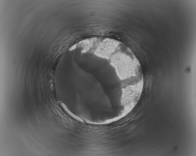 X0000114721202200912021146