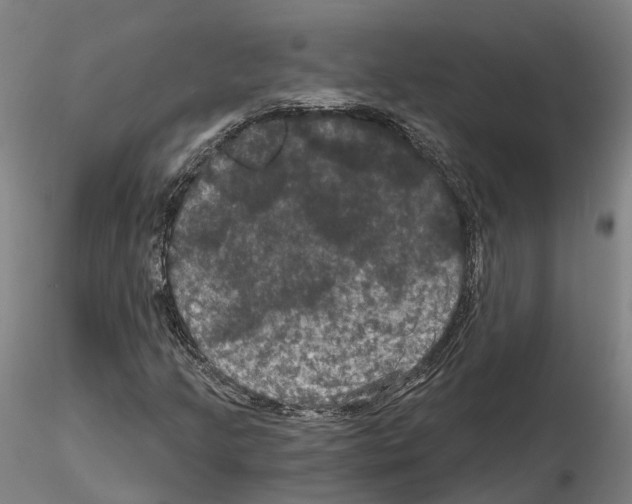 X0000114721205200912021146