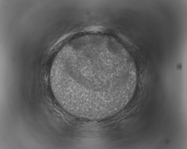 X0000114721206200912021146