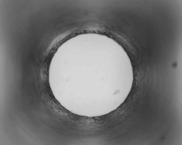 X0000114721207200912021146