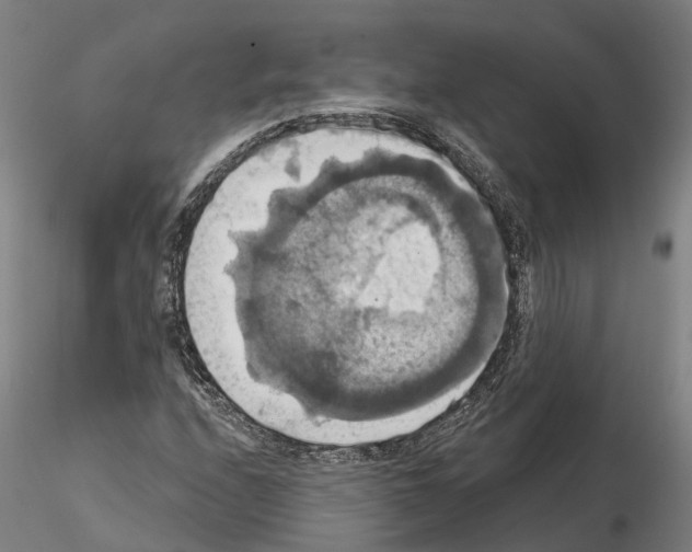 X0000114721208200912021146