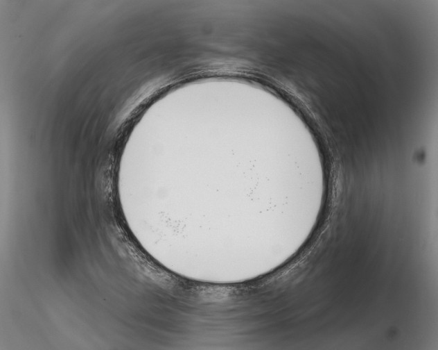 X0000114721211200912021146