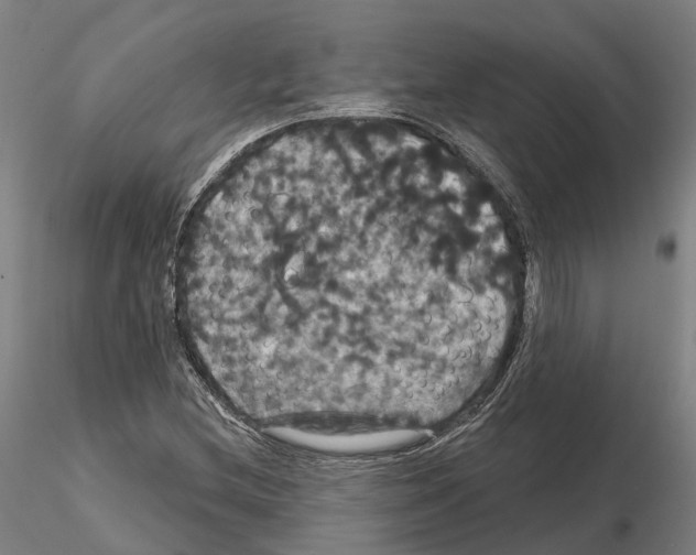 X0000114721212200912021146