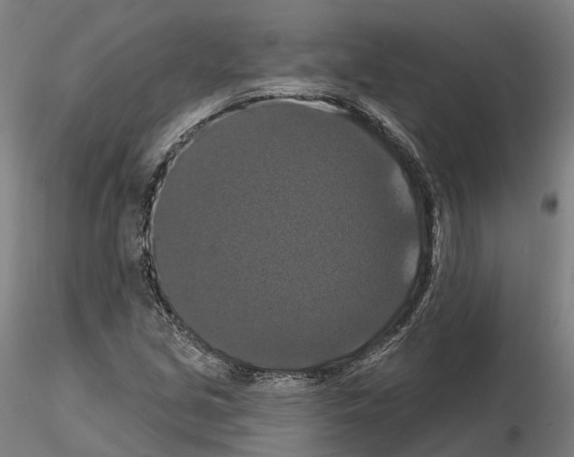 X0000114721213200912021146